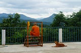 Buddhist temple railing overlooking mountains with monk in saffron robes seated facing away and laying dog facing camera