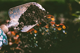 What Is Loamy Soil? And Why Do My Plants Need It?