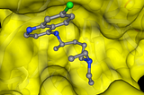 Protein Modeling & Drug Docking Studies