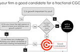 Is your firm a good candidate for a fractional CGO?