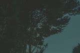 día III: «el espacio»