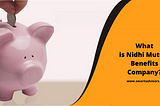 Nidhi Company Registration | Nidhi Mutual Benefits Company