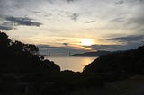 Sunset near the edge of a cliff, strewn with foliage, almost black in the fading light. The calm waters of the San Francisco Bay loom beyond, and the Golden Gate Bridge silhouetted in the distance, framed by a looming cloud bank, nigh obscuring the last bright remnants of the hot, white sun ball.