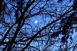 Crescent winter moon / a fingernail lingering / briefly in branches.