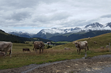 3 Leadership Lessons from the Swiss Mountains