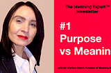 The Meaning Expert™ Newsletter, Issue #1: Purpose versus Meaning in Business