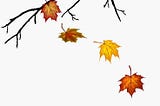 Falling of the Leaves: A Symbol of Freedom?