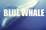 Blue Whale: come una storia virale può creare imitazione