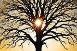 January: Reflecting on Our Life