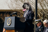 Our Adorable Dog Mayor Is Actually Kind Of A Fascist