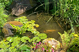 Environmental Science Major