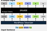 SPLADE model: The input sentence is tokenized and the tokens are the input to the SPLADE model. The model outputs N logit vectors, where each vector is of size |V| (the vocabulary size).