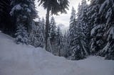 Snowboarding Dreams on the Powder