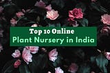 Top 10 Online Plant Store in India
