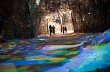People skating in forest with creatively lit path