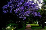 Another Purple Season💜