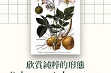 被流行食物文化制約的食材