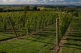 1 Day Hunter Valley Wine Tour from Sydney