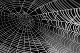 On value capture with AI
