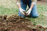 Soil Amendments for Organic Gardeners