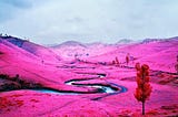 Photo by Richard Mosse