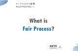 Fair Process — A Primer