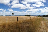 Falling in Love in the Grampians