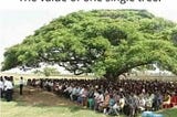 “HE WHO PLANTS A TREE; PLANTS A HOPE”- Tree as an example of generosity