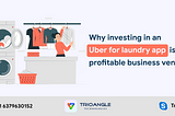 Why investing in an Uber for laundry app is a profitable business venture?