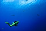 Life Lessons Reinforced by Diving