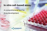 In vitro cell-based assay: A comprehensive tool for drug development