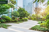 Benefits of Hiring a Professional for Commercial Landscaping Near you
