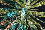 Instinct, Mind, and Spirit