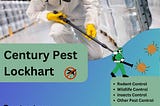 Protect Your Business: Top Commercial Pest Control Solutions in Lockhart