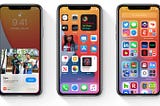 The Fallout or Another Stunt: Apple’s iOS 14 Leak