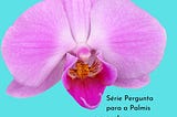 Orquídea: a deusa vulva.
