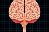 How Resistance Exercise Changes Your Brain After 55?