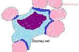 โรคติดเชื้อโมโนนิวคลีโอซิส (Infectious mononucleosis)