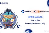 HMR Guide #3: How to Buy HMR With BUSD and Why