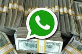 Should Facebook Allow Users Monitise The Whatsapp Status Feature?