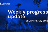 📝 Weekly Progress Update — 25 June to 1 July 2018