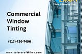 Tampa Home Window Tinting Services