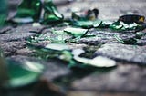 Green broken glass lying on pavement.