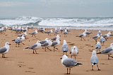 Agentic AI for Anomaly Detection — (9) Local Outlier Factor (LOF)