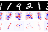 Increasing Interpretability to Improve Model Robustness