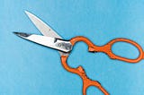 The orange-handled scissors they’ll use to snip me.