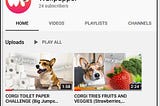 Wallpupper Introduces its YouTube Channel