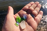 Entrepreneurial Transformations: Be Like Sea Glass