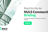 NULS Community Briefing