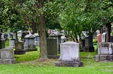 A cemetery with graves visible under a tree.